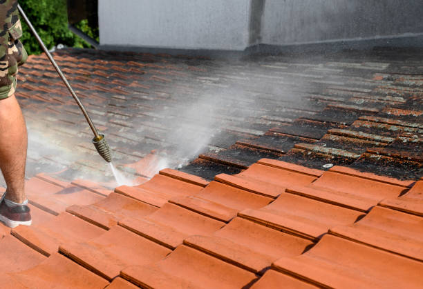 Best Sidewalk Pressure Washing  in Wilton, CA