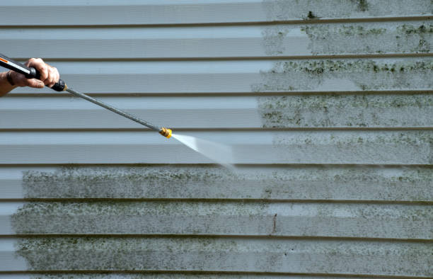 Best Roof Pressure Washing  in Wilton, CA