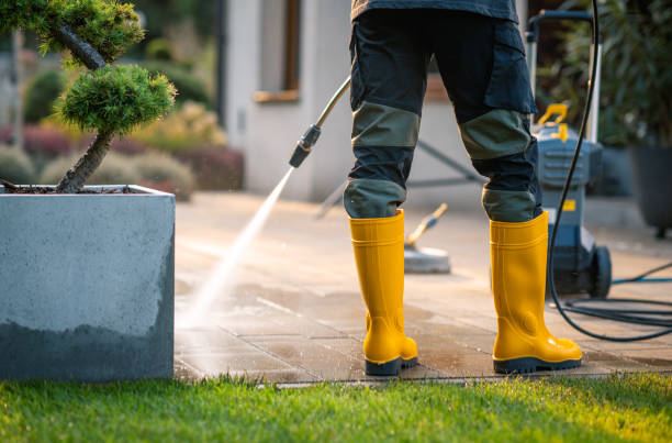 Best Affordable Power Washing  in Wilton, CA